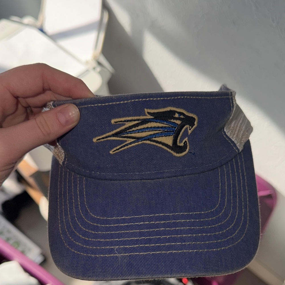 St. Francis College Visor